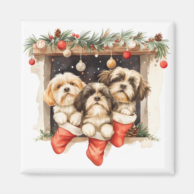 Imã Christmas Shih Tzu Dogs (Frente)