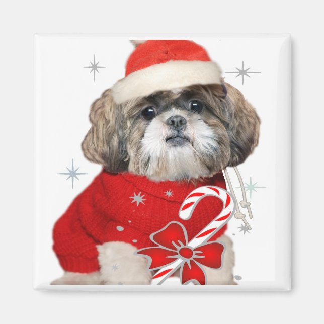 Imã Christmas Shih Tzu Magnets (Frente)