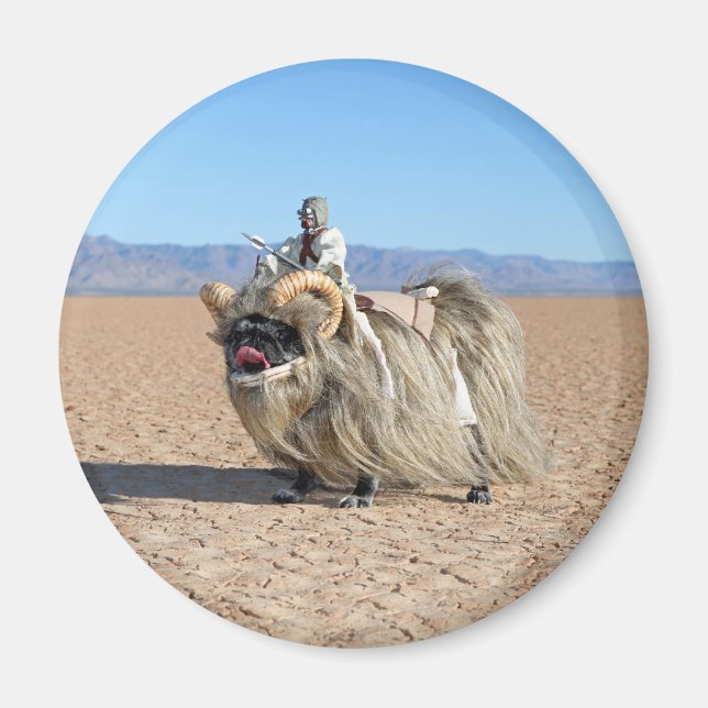 Imã Chubbs, o Magno Banthapug (Frente)