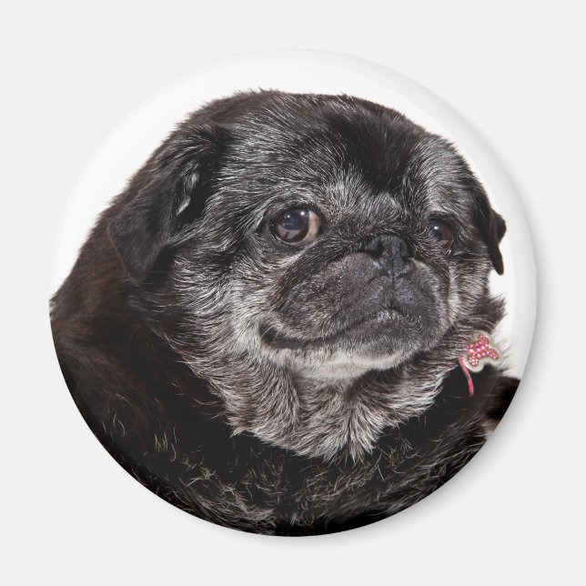Imã Chubbs O Magno De Wampug (Frente)