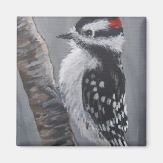 Imã Chubby Downy Woodpecker - Magnet