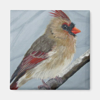 Imã Chubby Female Cardinal - Magnet