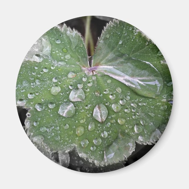 Imã chuva pesada (Frente)