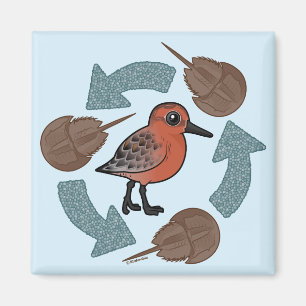 Imã Ciclo do Caranguejo-Nó