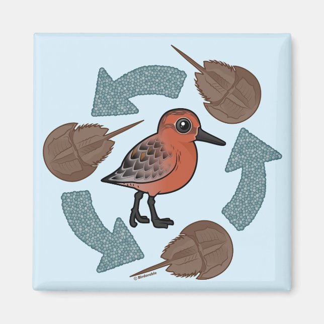 Imã Ciclo do Nó de Caranguejo (Frente)