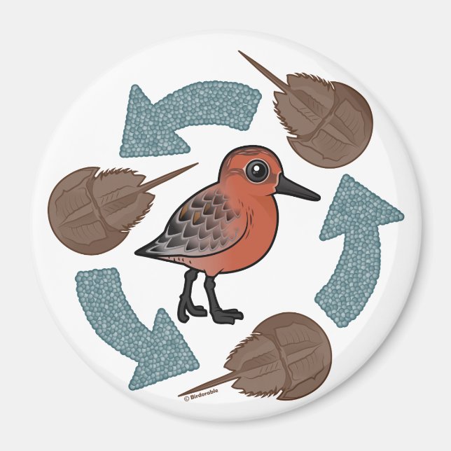 Imã Ciclo do Nó de Caranguejo (Frente)