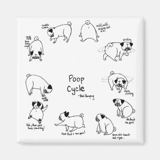 Imã Ciclo Poop