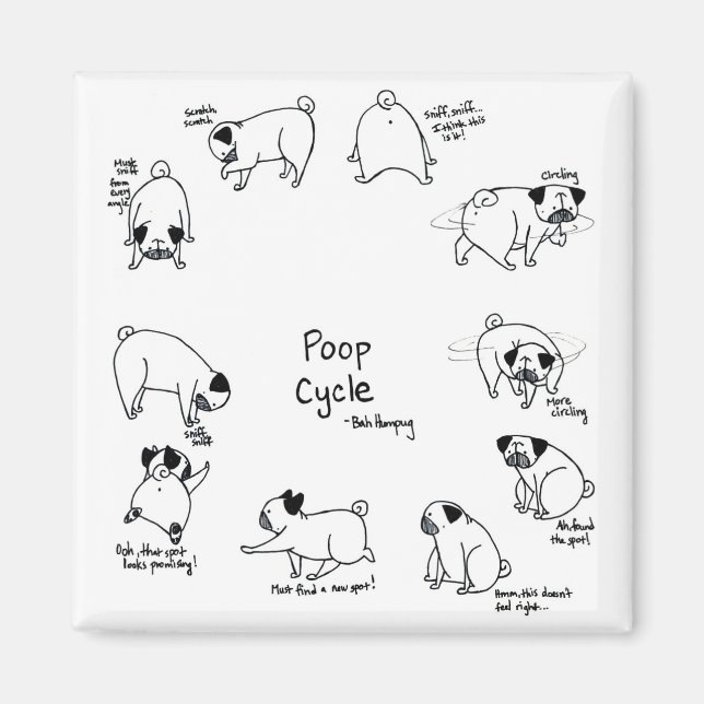 Imã Ciclo Poop (Frente)