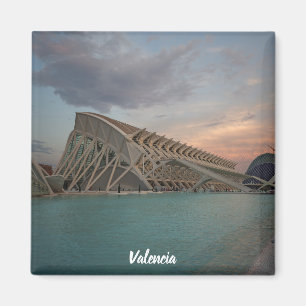 Imã Ciencias dos las de Valência "Ciudad de las artes