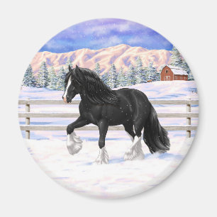Imã Cigano Negro Vanner Irlandês Cob Draft Horse Na N
