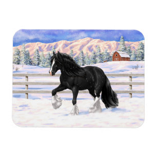 Ímã Cigano Negro Vanner Irlandês Cob Draft Horse Na N