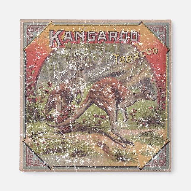 Imã Cigarro De Canguru 1900 (Frente)