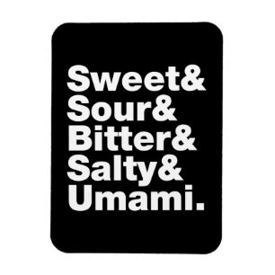 Ímã Cinco gostos básicos