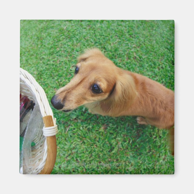 Imã Cingapura 2 (Frente)