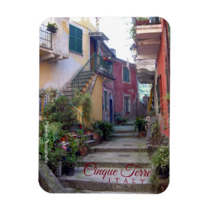 Ímã Cinque Terre (rua de Monterosso)