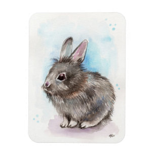 Ímã Cinza Bunny