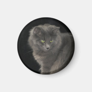 Imã Cinza Cabelo Longo Cabelo Azul Russo Gatinho Gatin