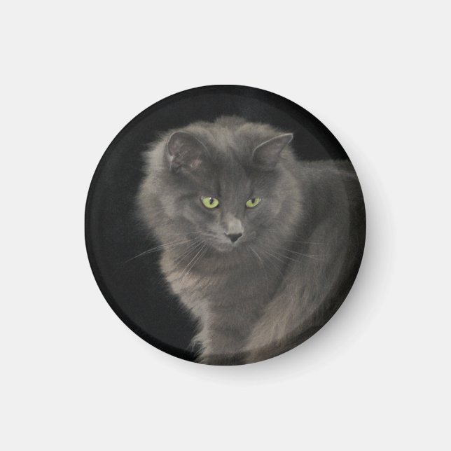 Imã Cinza Cabelo Longo Cabelo Azul Russo Gatinho Gatin (Frente)