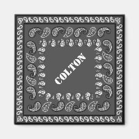 Cinza de carvão ocidental Paisley Bandana personal