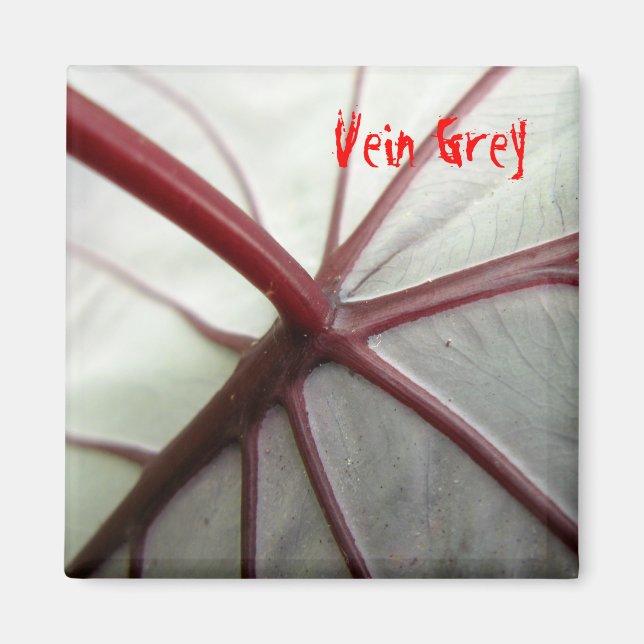 Imã Cinza de veias (Frente)