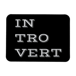 Ímã Cinza Introduvert Flexi Magnet