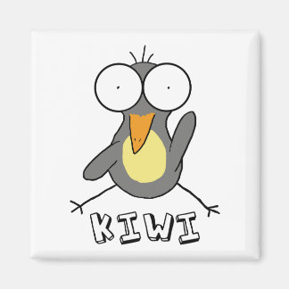 Imã Cinza Kiwi