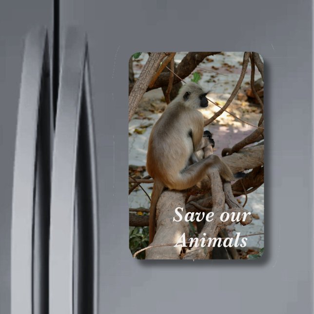 Ímã Cinza Langur - Descanse (Criador carregado)