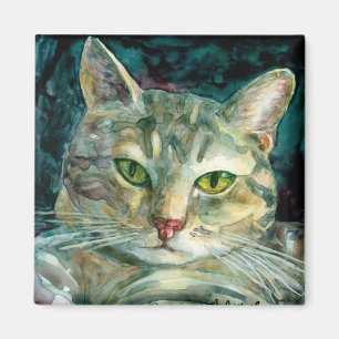 Imã Cinza por ímã