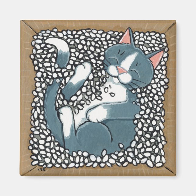 Imã Cinza Tuxedo Gato Dormindo em Caixa de Amendoim Em (Frente)