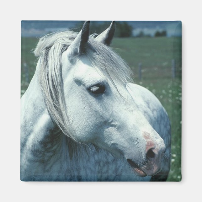 Imã Cinzas aplainadas em Pastas Flores (Frente)