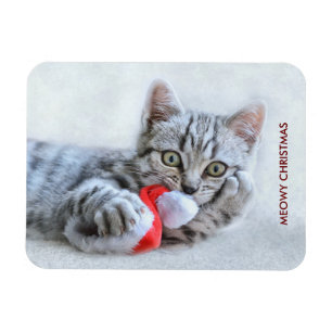 Ímã Cinzas de Natal meudas de gato
