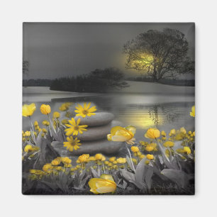 Imã Cinzas e tulipas amarelas, margaridas com um pôr d