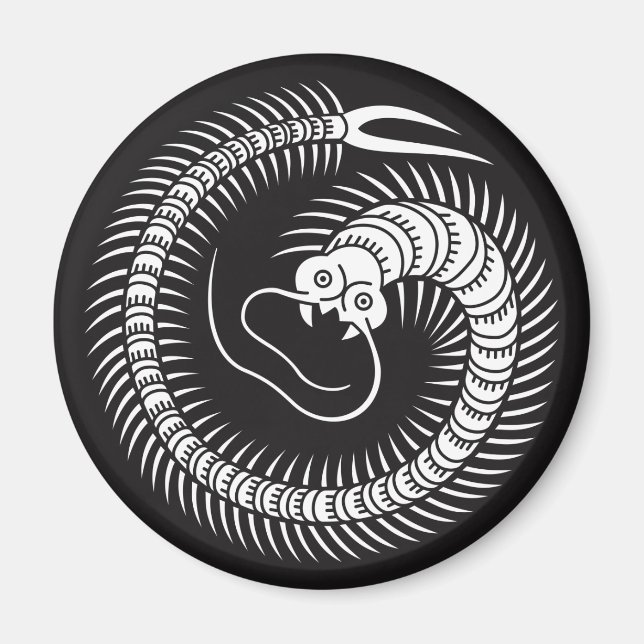 Imã Círculo centípede (Frente)