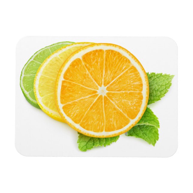 Ímã Círculos de citrinos (Horizontal)