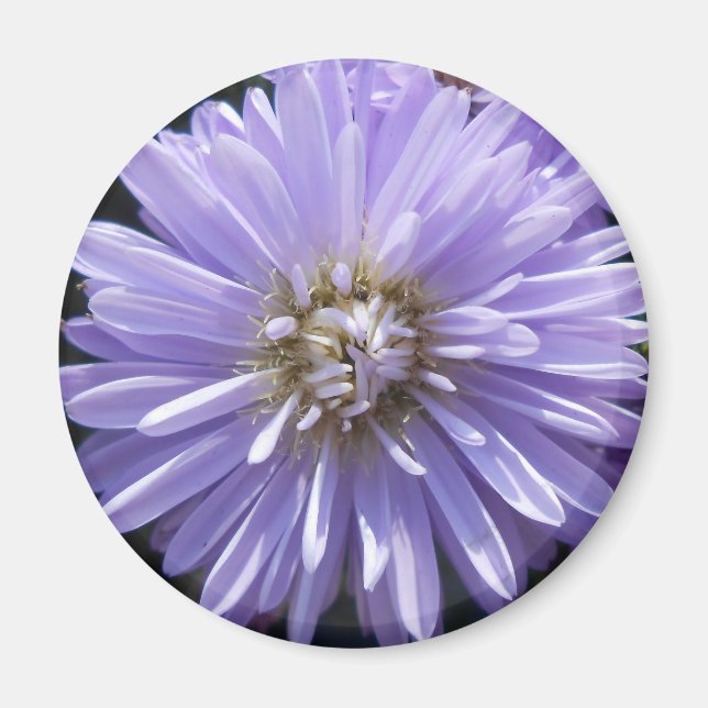 Imã Cirene (Frente)