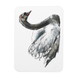 Ímã Cisne