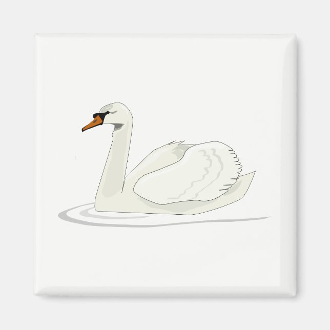 Imã Cisne (Frente)