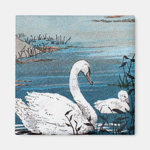 Imã Cisne branca elegante com bebê
