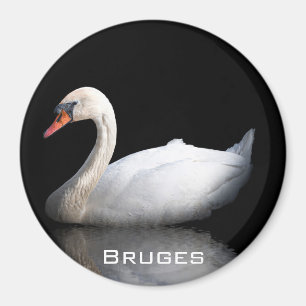Imã Cisne branco sobre preto