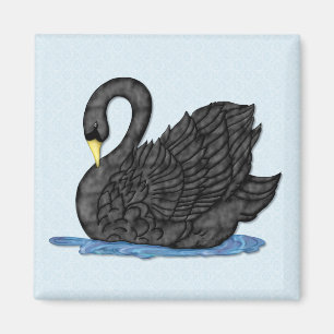 Imã Cisne preta