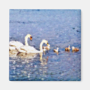 IMÃ CISNES