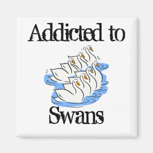 Imã Cisnes
