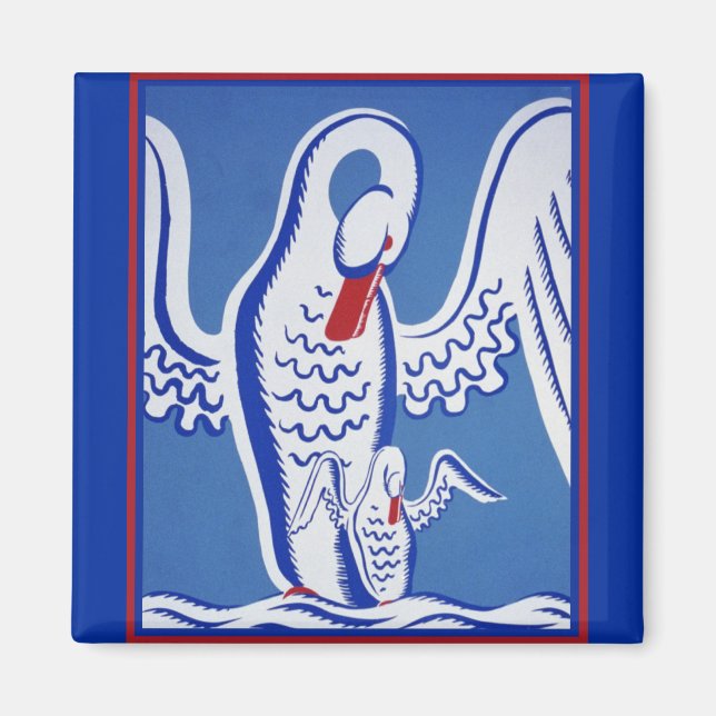 Imã Cisnes (Frente)