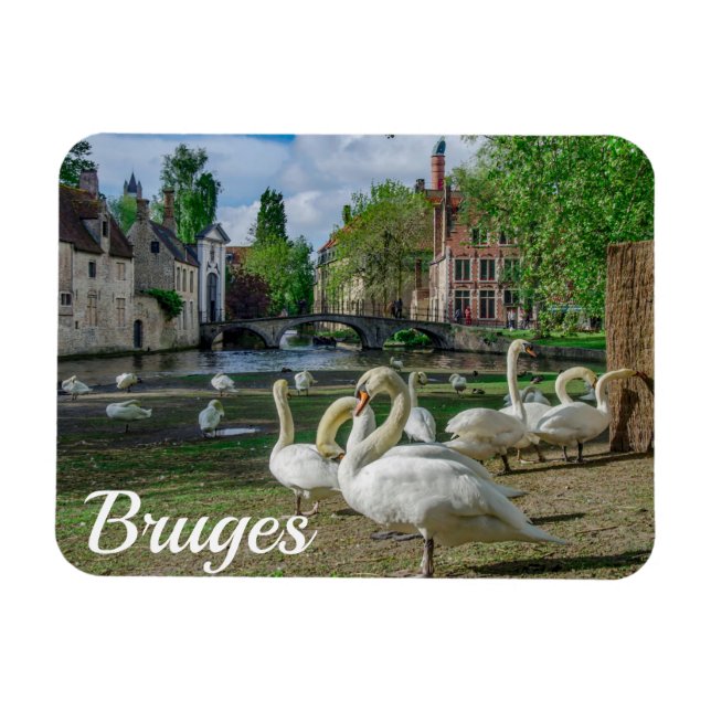 Ímã Cisnes brancas no centro de Bruges (Horizontal)