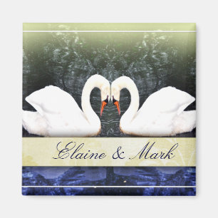 Imã Cisnes elegantes no amor