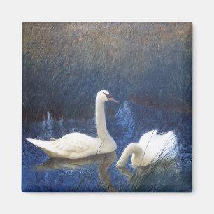 Imã Cisnes em Reeds, Bruno Liljefors