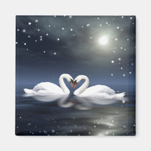 Imã Cisnes Loving
