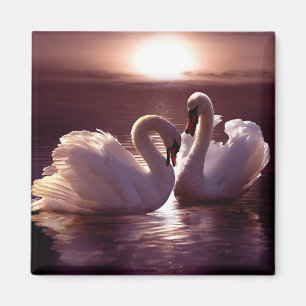 Imã Cisnes Loving que formam um coração