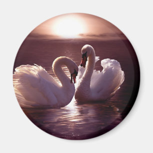 Imã Cisnes Loving que formam um coração