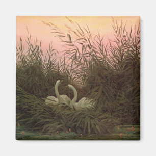 Imã Cisnes nos juncos, c.1820